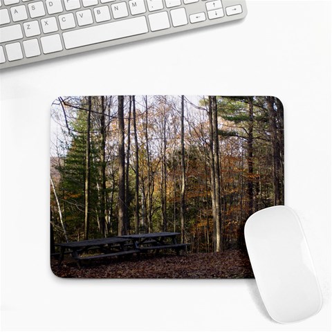 Pa Grand Canyon East Rim Trees 8 Small Mousepad from ArtsNow.com Front