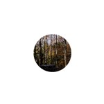 Pa Grand Canyon East Rim Trees 8 1  Mini Button
