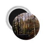 Pa Grand Canyon East Rim Trees 8 2.25  Magnet