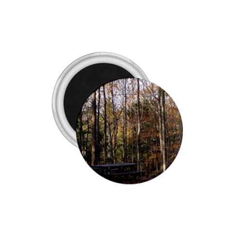 Pa Grand Canyon East Rim Trees 8 1.75  Magnet from ArtsNow.com Front