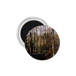 Pa Grand Canyon East Rim Trees 8 1.75  Magnet