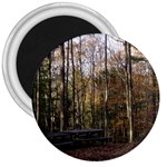 Pa Grand Canyon East Rim Trees 8 3  Magnet