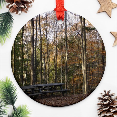 Pa Grand Canyon East Rim Trees 8 Ornament (Round) from ArtsNow.com Front