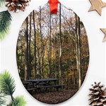 Pa Grand Canyon East Rim Trees 8 Ornament (Oval)