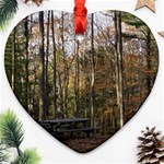 Pa Grand Canyon East Rim Trees 8 Ornament (Heart)