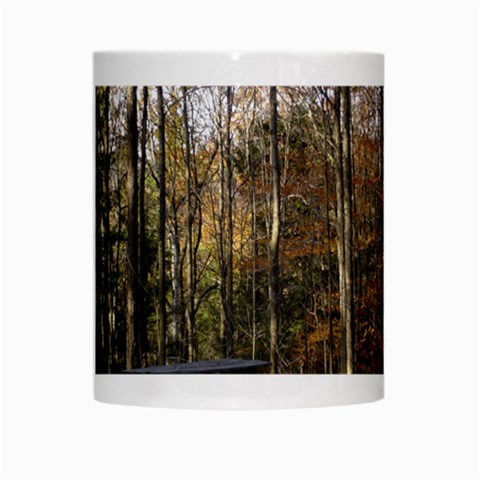 Pa Grand Canyon East Rim Trees 8 White Mug from ArtsNow.com Center