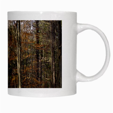Pa Grand Canyon East Rim Trees 8 White Mug from ArtsNow.com Right
