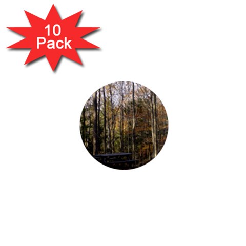 Pa Grand Canyon East Rim Trees 8 1  Mini Magnet (10 pack)  from ArtsNow.com Front