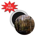 Pa Grand Canyon East Rim Trees 8 1.75  Magnet (10 pack) 