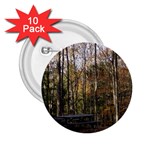 Pa Grand Canyon East Rim Trees 8 2.25  Button (10 pack)