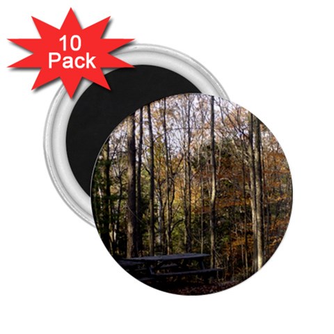 Pa Grand Canyon East Rim Trees 8 2.25  Magnet (10 pack) from ArtsNow.com Front