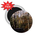 Pa Grand Canyon East Rim Trees 8 2.25  Magnet (10 pack)