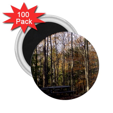 Pa Grand Canyon East Rim Trees 8 2.25  Magnet (100 pack)  from ArtsNow.com Front