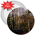 Pa Grand Canyon East Rim Trees 8 3  Button (10 pack)