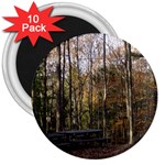 Pa Grand Canyon East Rim Trees 8 3  Magnet (10 pack)
