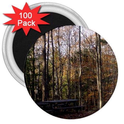 Pa Grand Canyon East Rim Trees 8 3  Magnet (100 pack) from ArtsNow.com Front