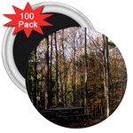 Pa Grand Canyon East Rim Trees 8 3  Magnet (100 pack)