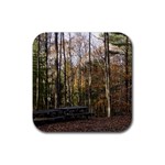 Pa Grand Canyon East Rim Trees 8 Rubber Coaster (Square)