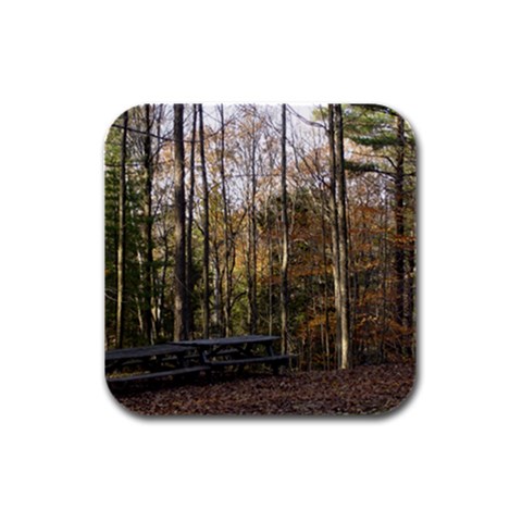 Pa Grand Canyon East Rim Trees 8 Rubber Square Coaster (4 pack) from ArtsNow.com Front