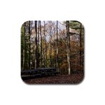 Pa Grand Canyon East Rim Trees 8 Rubber Square Coaster (4 pack)