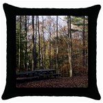 Pa Grand Canyon East Rim Trees 8 Throw Pillow Case (Black)