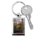 Pa Grand Canyon East Rim Trees 8 Key Chain (Rectangle)