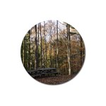 Pa Grand Canyon East Rim Trees 8 Magnet 3  (Round)