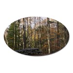 Pa Grand Canyon East Rim Trees 8 Magnet (Oval)