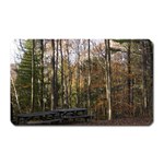 Pa Grand Canyon East Rim Trees 8 Magnet (Rectangular)
