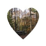 Pa Grand Canyon East Rim Trees 8 Magnet (Heart)