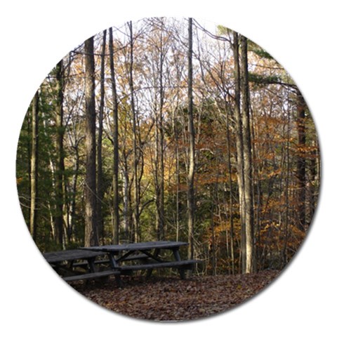 Pa Grand Canyon East Rim Trees 8 Magnet 5  (Round) from ArtsNow.com Front