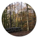 Pa Grand Canyon East Rim Trees 8 Magnet 5  (Round)