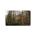 Pa Grand Canyon East Rim Trees 8 Magnet (Name Card)