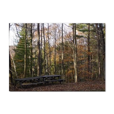 Pa Grand Canyon East Rim Trees 8 Sticker A4 (100 pack) from ArtsNow.com Front