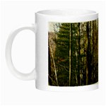Pa Grand Canyon East Rim Trees 8 Night Luminous Mug
