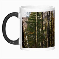 Pa Grand Canyon East Rim Trees 8 Morph Mug from ArtsNow.com Left