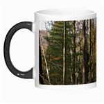 Pa Grand Canyon East Rim Trees 8 Morph Mug