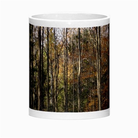 Pa Grand Canyon East Rim Trees 8 Morph Mug from ArtsNow.com Center