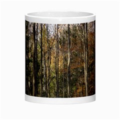 Pa Grand Canyon East Rim Trees 8 Morph Mug from ArtsNow.com Center