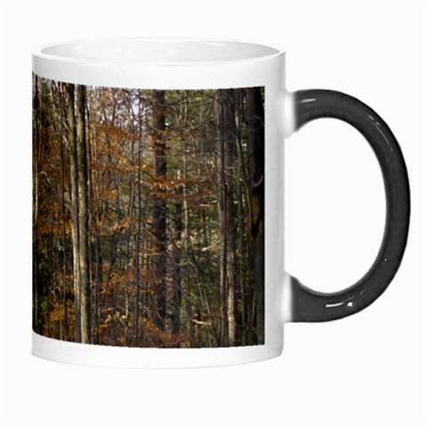 Pa Grand Canyon East Rim Trees 8 Morph Mug from ArtsNow.com Right