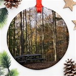 Pa Grand Canyon East Rim Trees 8 Round Ornament (Two Sides)