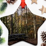 Pa Grand Canyon East Rim Trees 8 Star Ornament (Two Sides)
