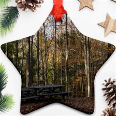 Pa Grand Canyon East Rim Trees 8 Star Ornament (Two Sides) from ArtsNow.com Back