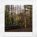 Pa Grand Canyon East Rim Trees 8 Canvas 12  x 16 