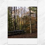 Pa Grand Canyon East Rim Trees 8 Canvas 12  x 18 