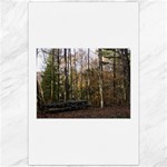 Pa Grand Canyon East Rim Trees 8 Canvas 20  x 30 