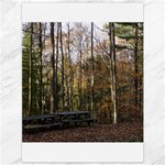 Pa Grand Canyon East Rim Trees 8 Canvas 36  x 48 