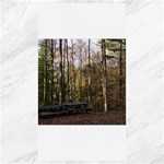 Pa Grand Canyon East Rim Trees 8 Canvas 40  x 72 