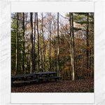 Pa Grand Canyon East Rim Trees 8 Canvas 11  x 14 