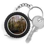 Pa Grand Canyon East Rim Trees 8 Measuring Tape
